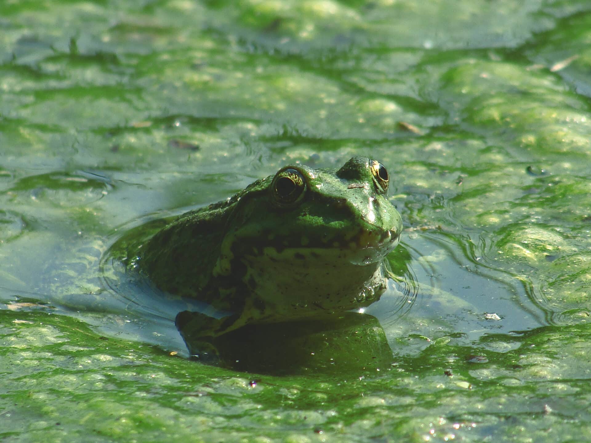 Why Does The Water Feel Slimy