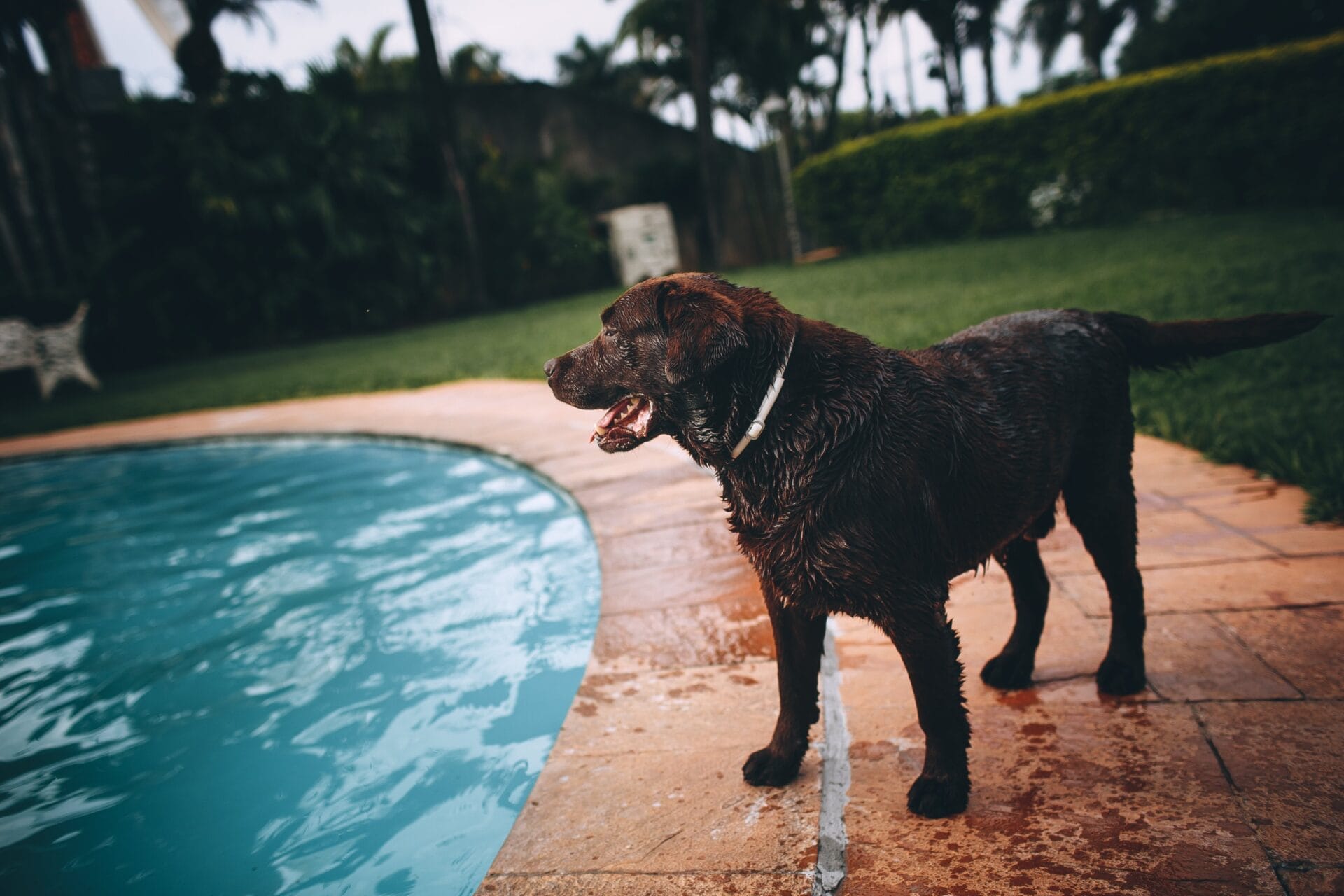 How To Fix Water Sw Open On Pool Heater